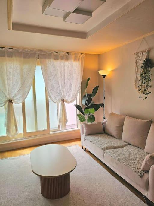 Apartment Oasis