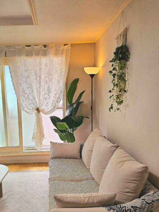 Oasis Apartment Seoul